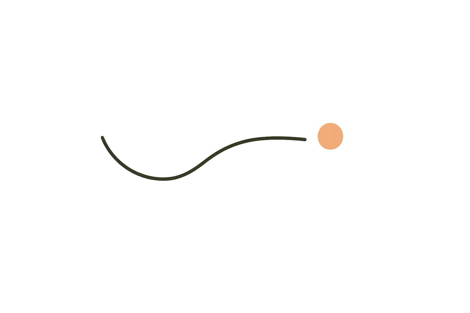 Helicopter Flight Experience